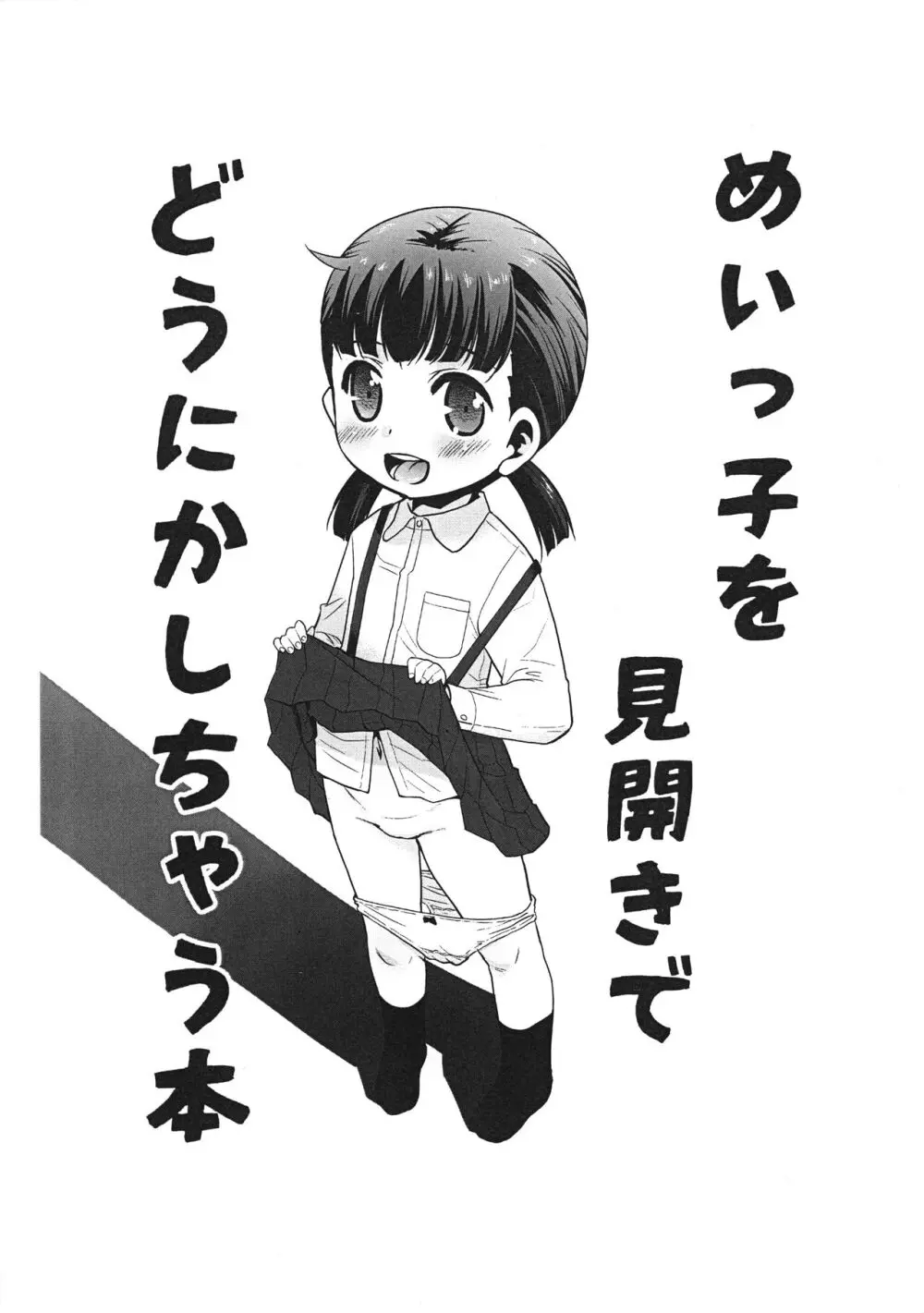 めいっ子を見開きでどうにかしちゃう本 - page2