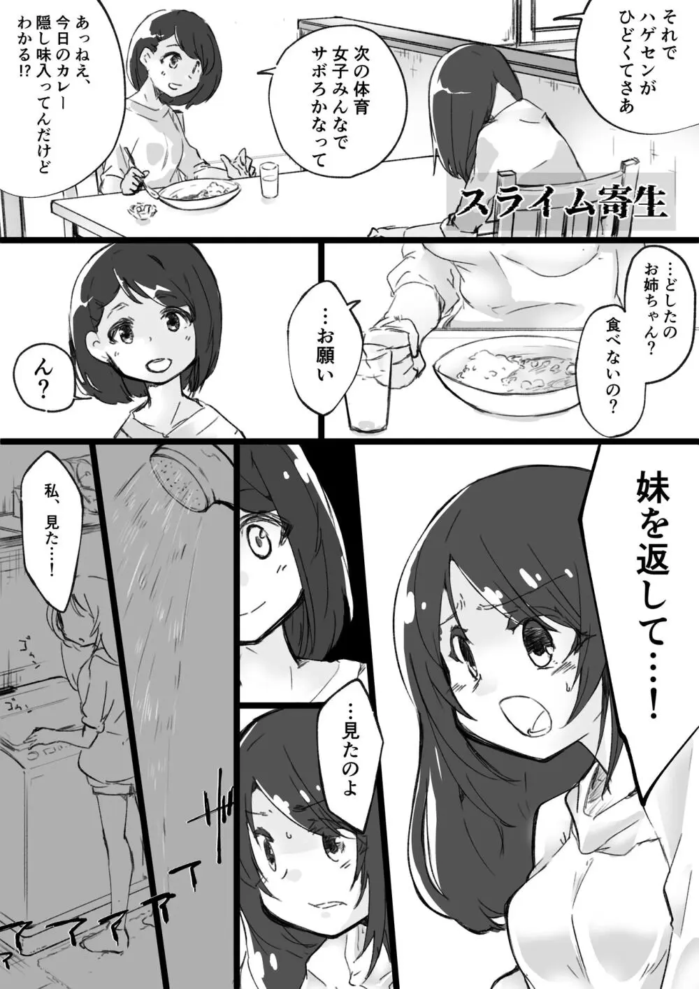 女の子が体を乗っ取られる作品集 - page20