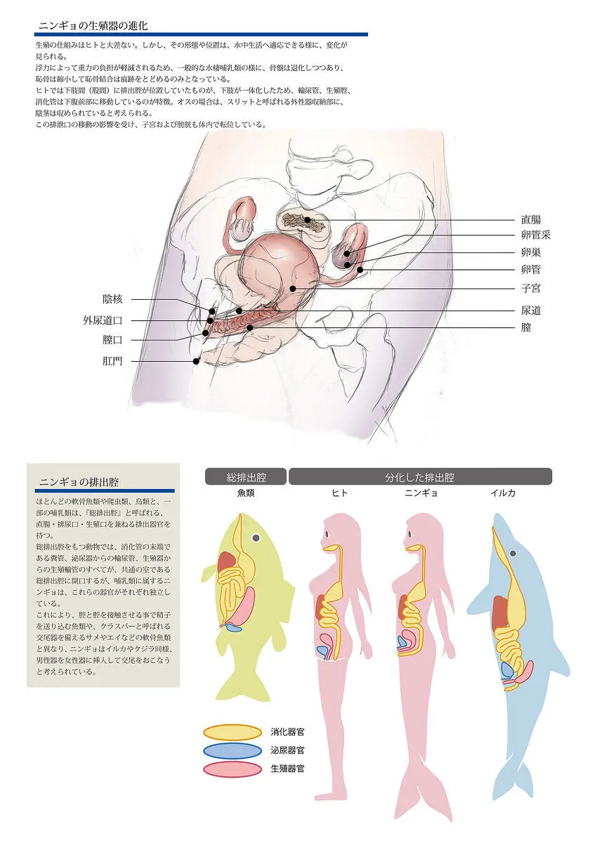 ビッチマーメイド 01-21 - page30