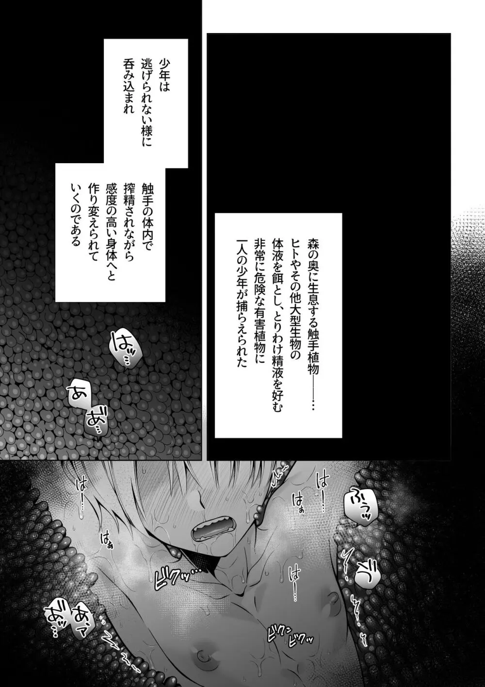 双子エルフの受難・後編 - page5