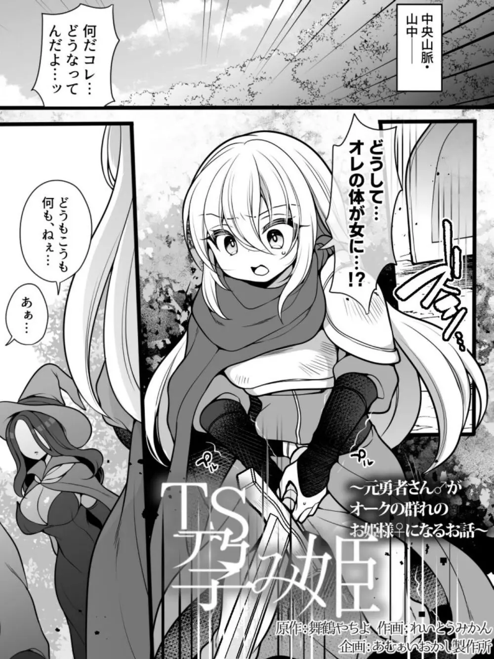 TS孕み姫 ～元勇者さんがオークの群れのお姫様♀になるお話～ - page2