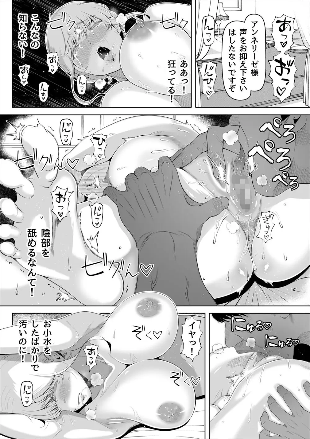 嬌声の花嫁〜穢れた調律〜 - page29