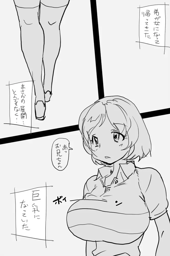 ONK : 女体になった巨乳の弟を犯しちゃうお話し。 - page2