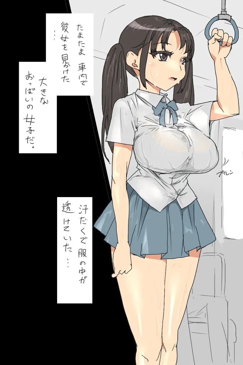 Sの事情 : 巨乳なJKと車内で遭遇するお話 - page3