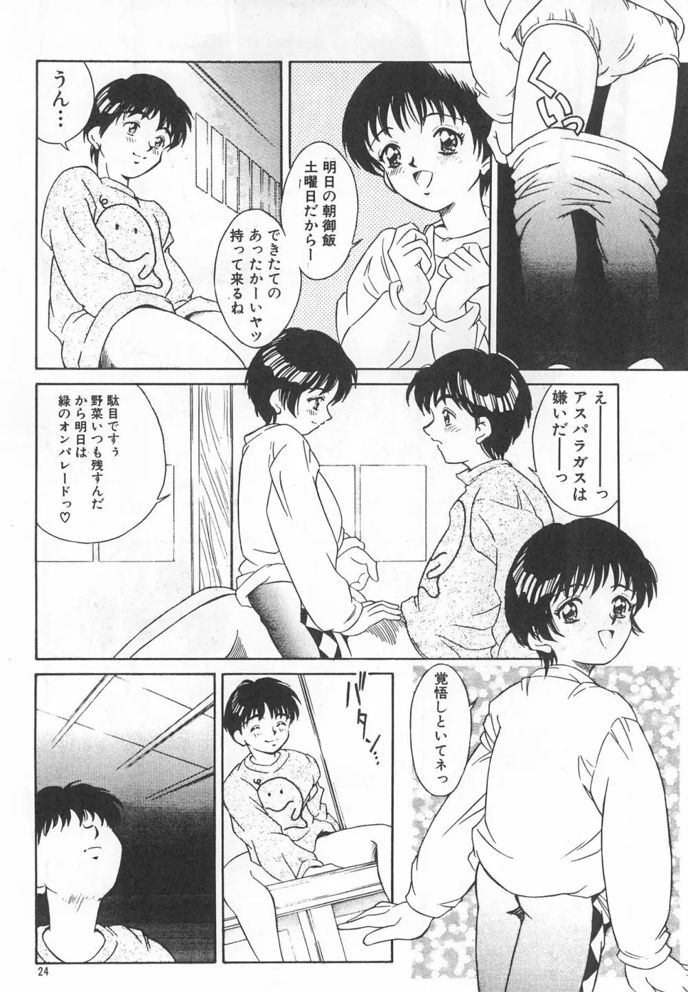 平成にんふらばぁ4 - page24