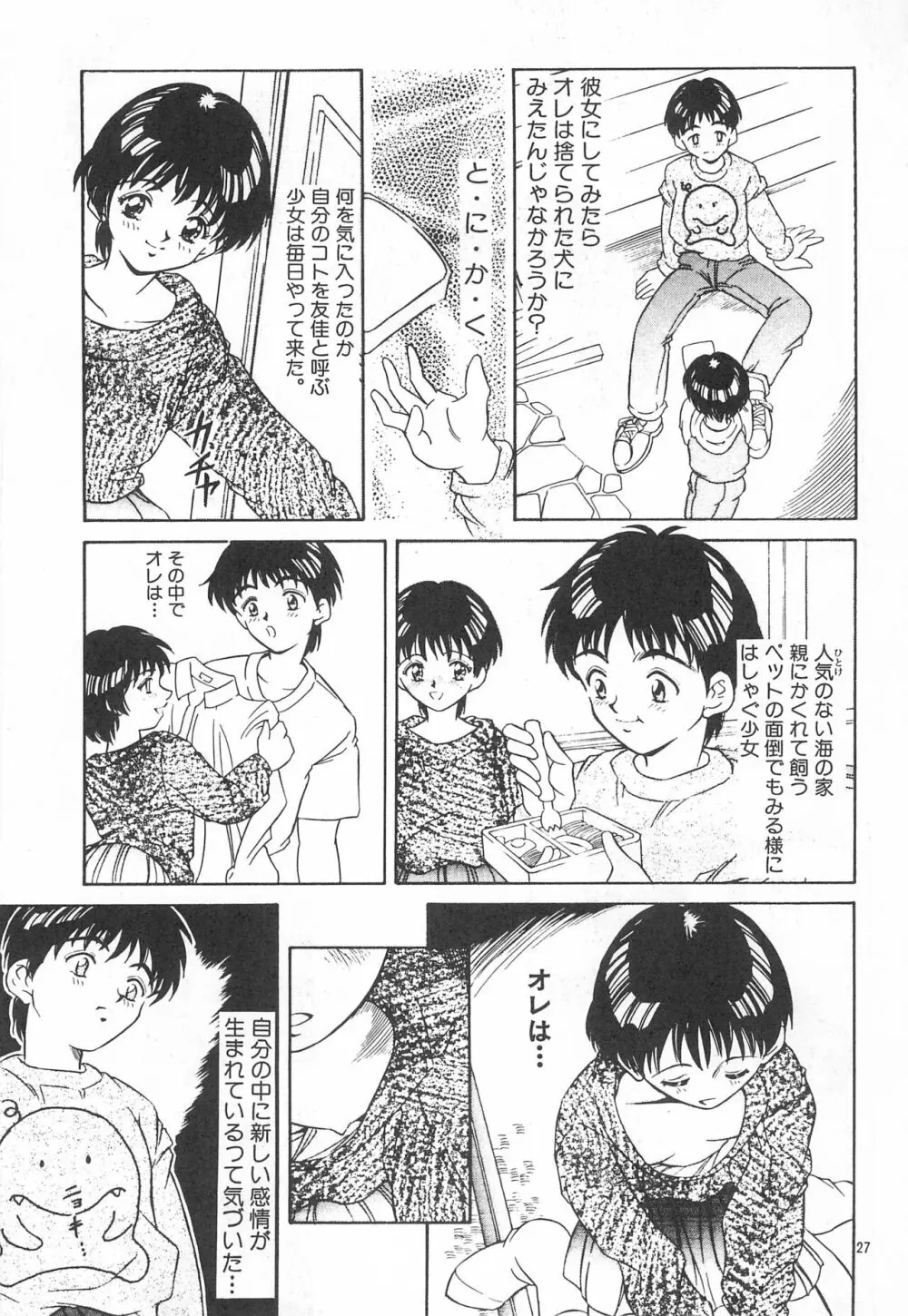 平成にんふらばぁ4 - page27