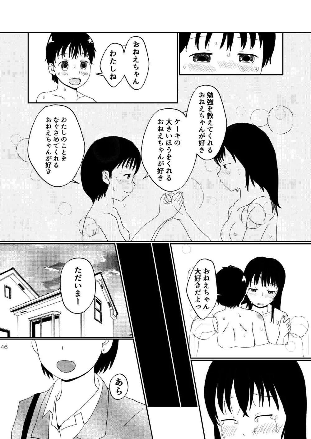 レモンダイアリー - page45