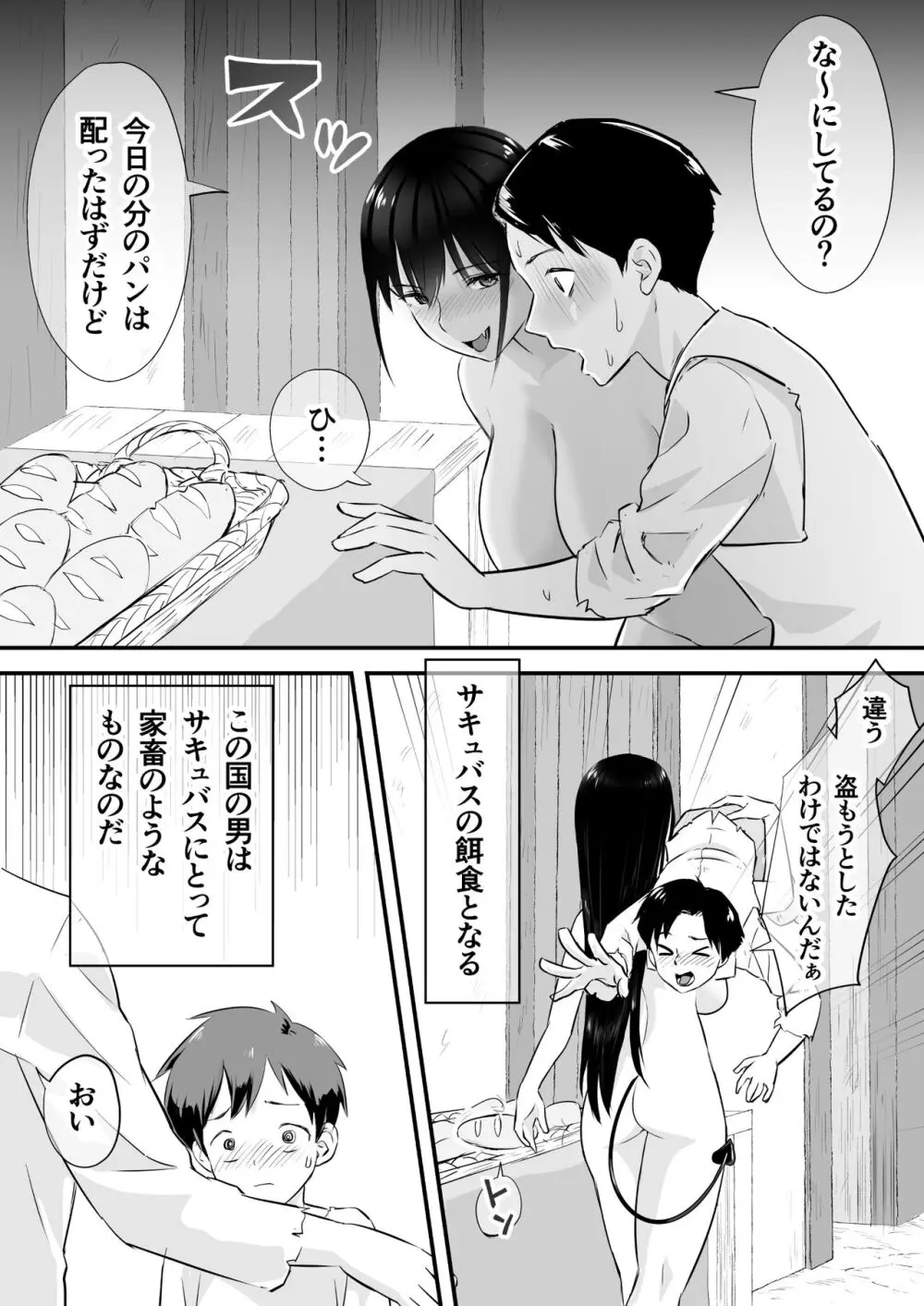 サキュバスに支配された国 - page4