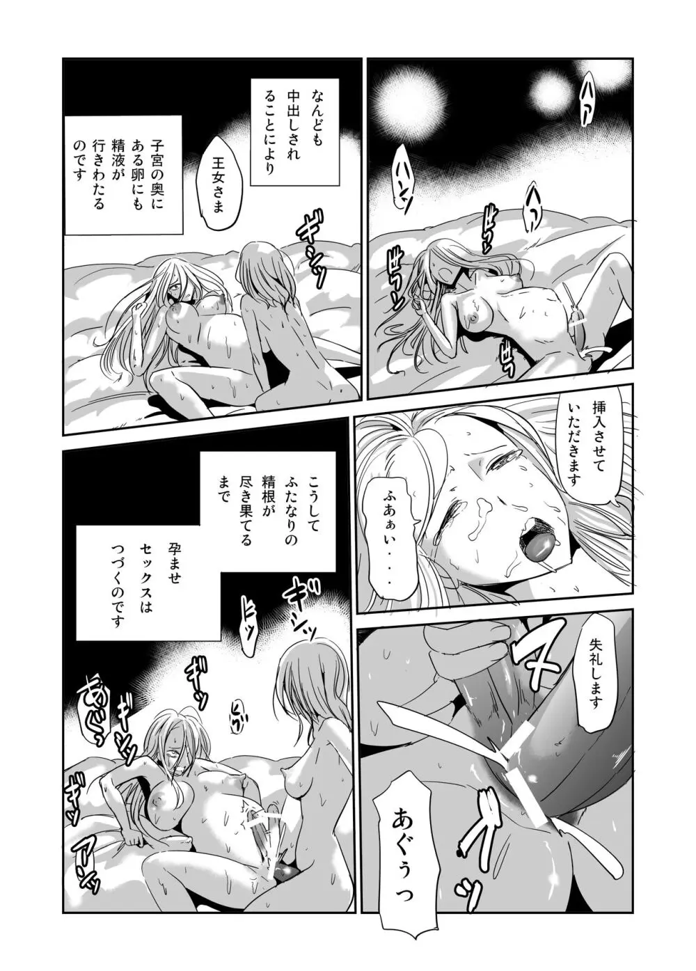 ふたなり王国 王女のおしごと - page3