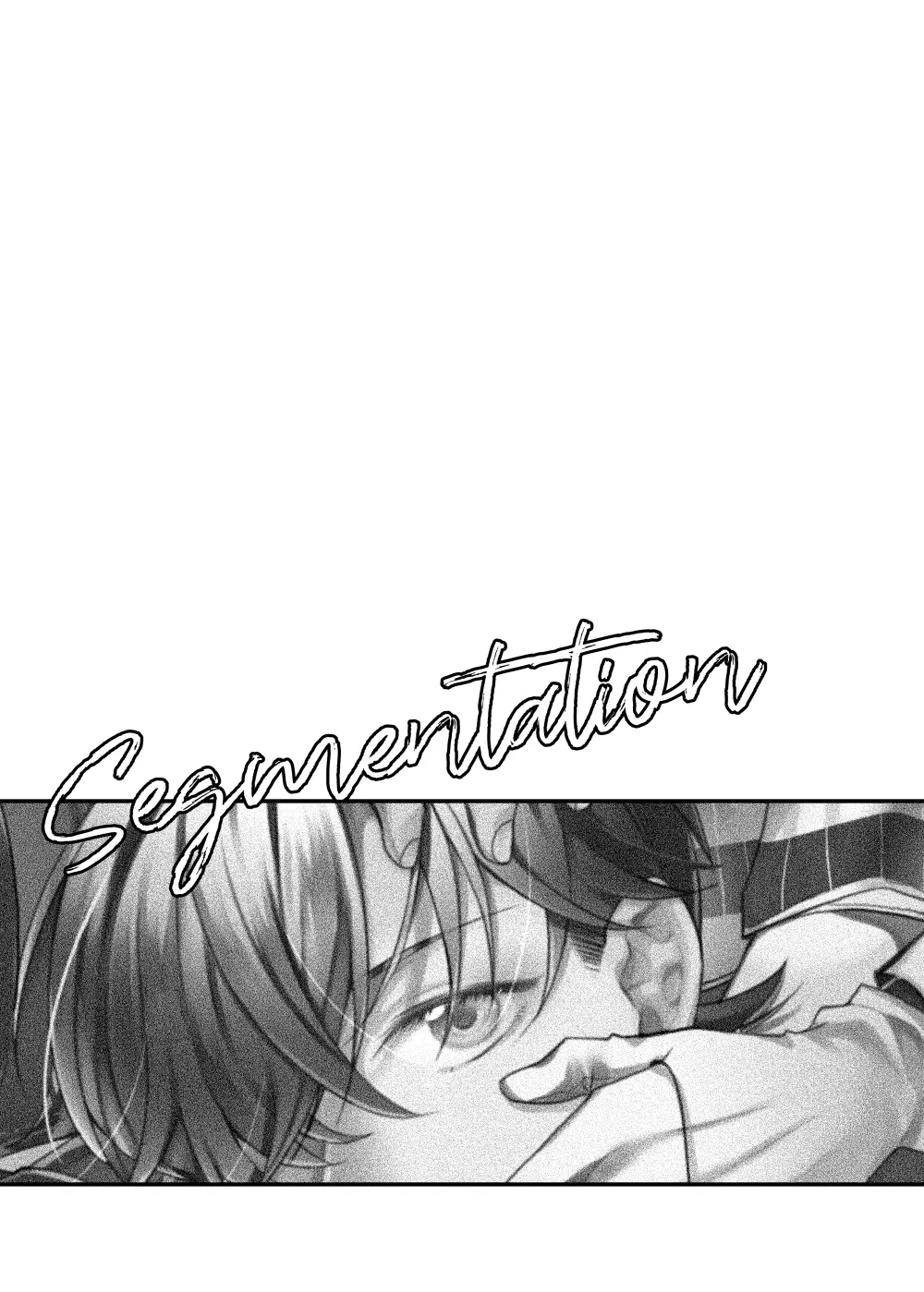 segmentation - page55