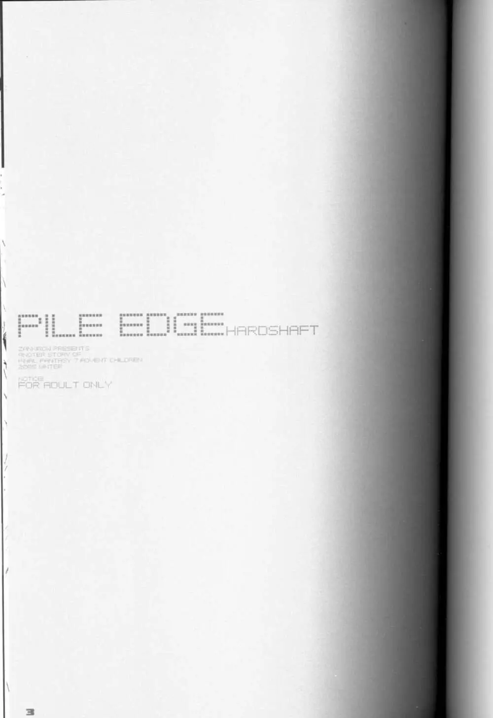 PILEEDGE HARD SHAFT - page2