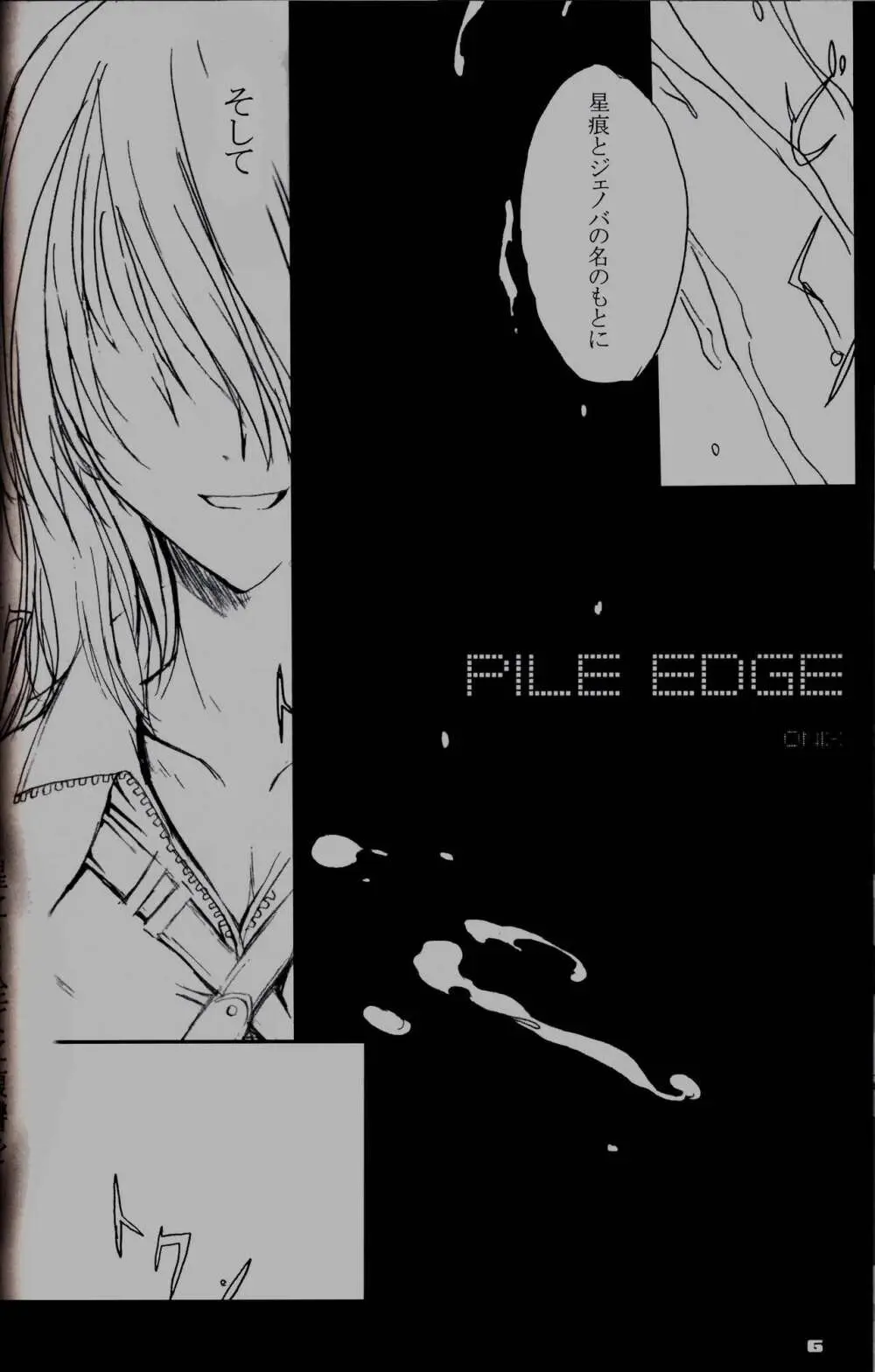 PILEEDGE HARD SHAFT - page5