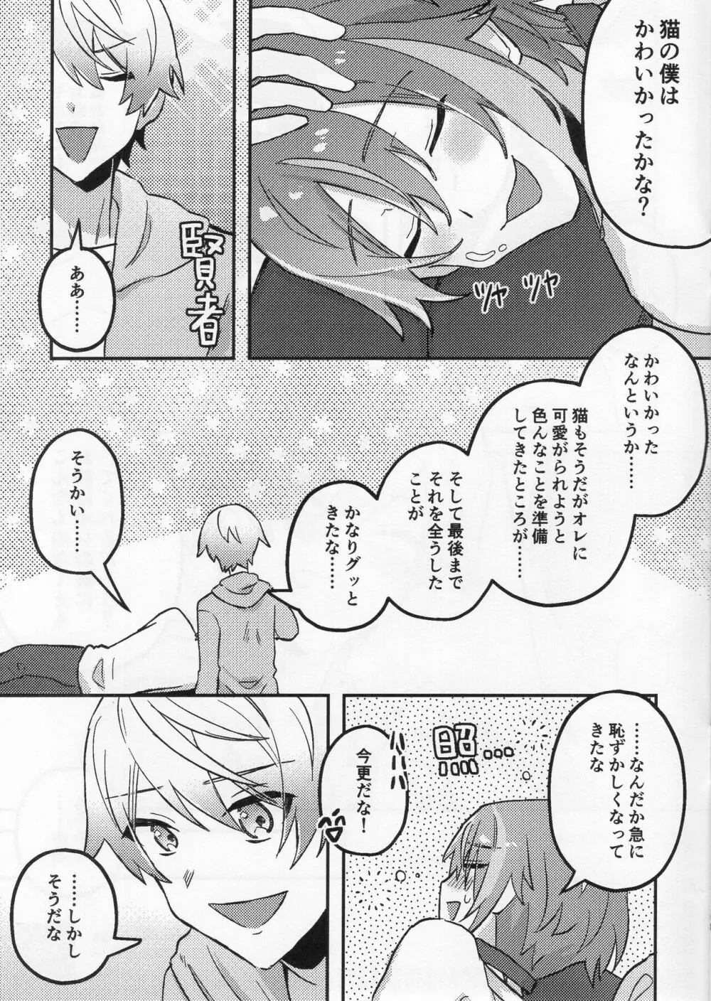 司類がにゃんにゃんする本 - page15