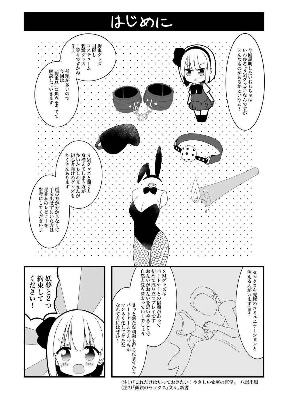 妖夢ちゃんがアダルトグッズのレビューをする話〈拘束編〉 - page5