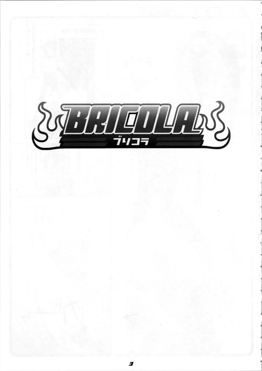 BRICOLA - page3