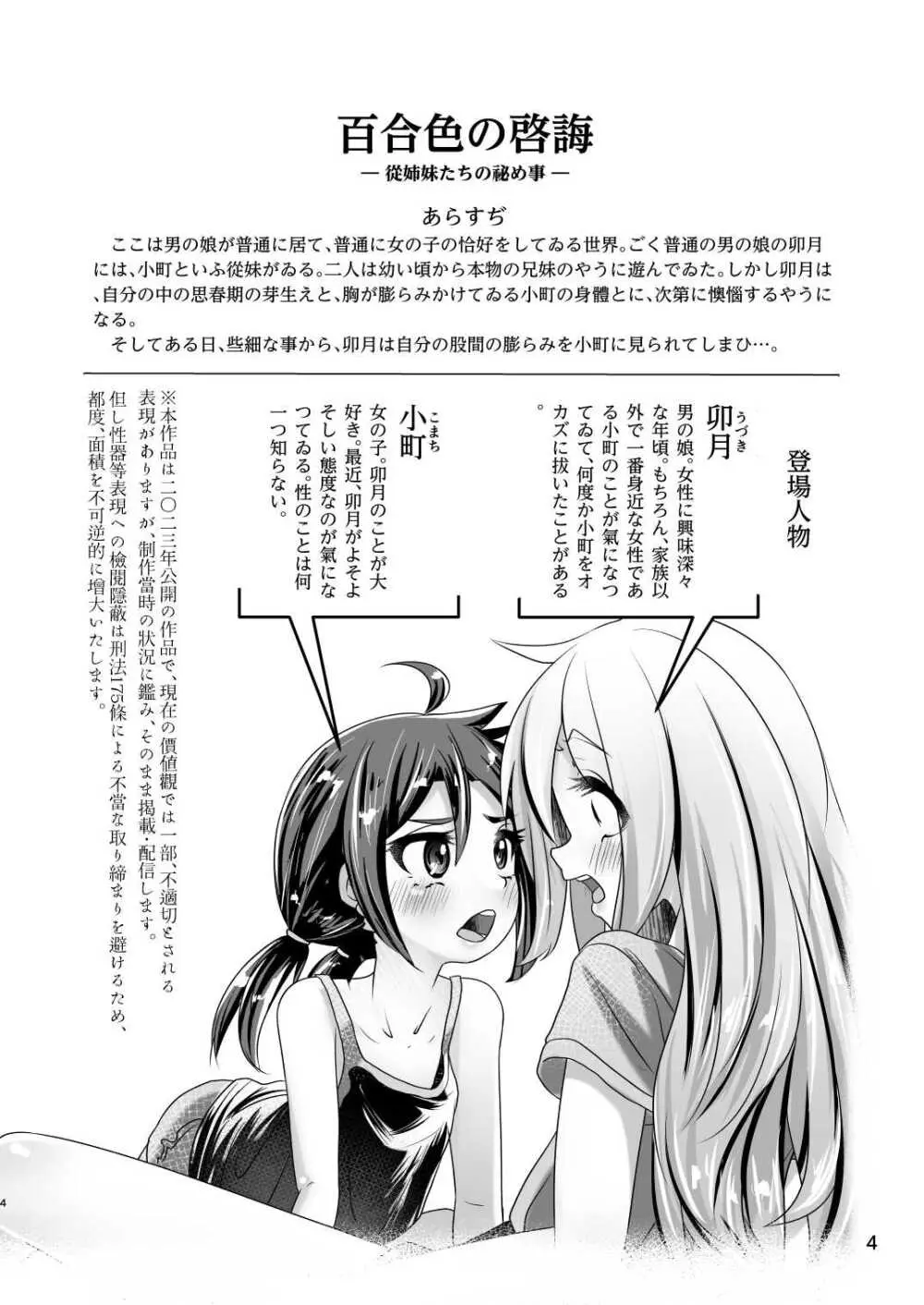 イトコのヒメゴト ――エッチしたい男の娘と エッチを知らない女の子の 初めてのエッチ―― - page4