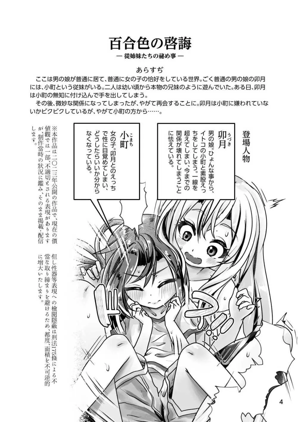 イトコのヒメゴト 2 ――エッチしたい男の娘と エッチを知らない女の子の 初めてのエッチ―― - page4