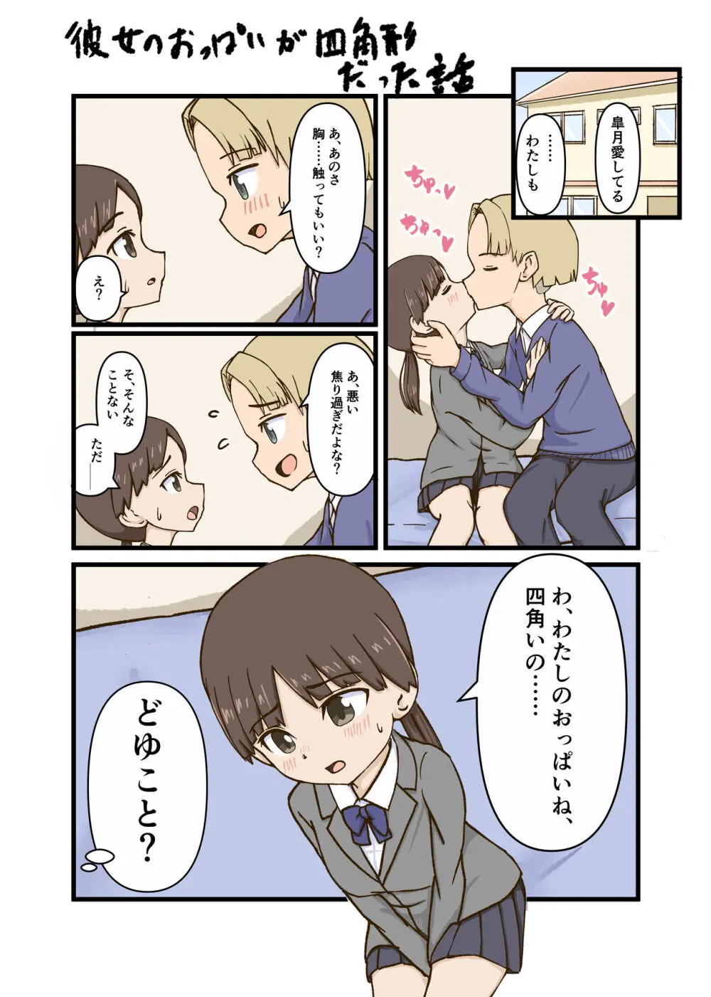 彼女のおっぱいが四角形だった話