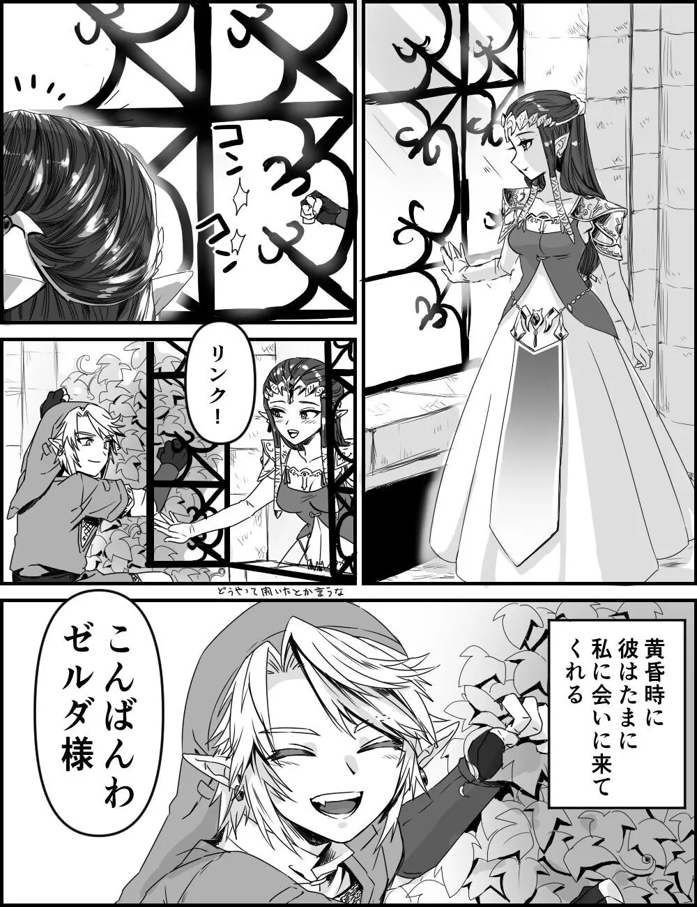 新種のチュチュゼリー - page2