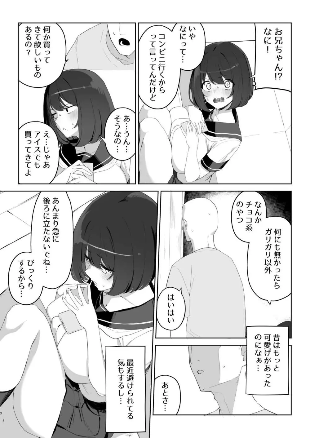 兄の知らない妹の話 - page2