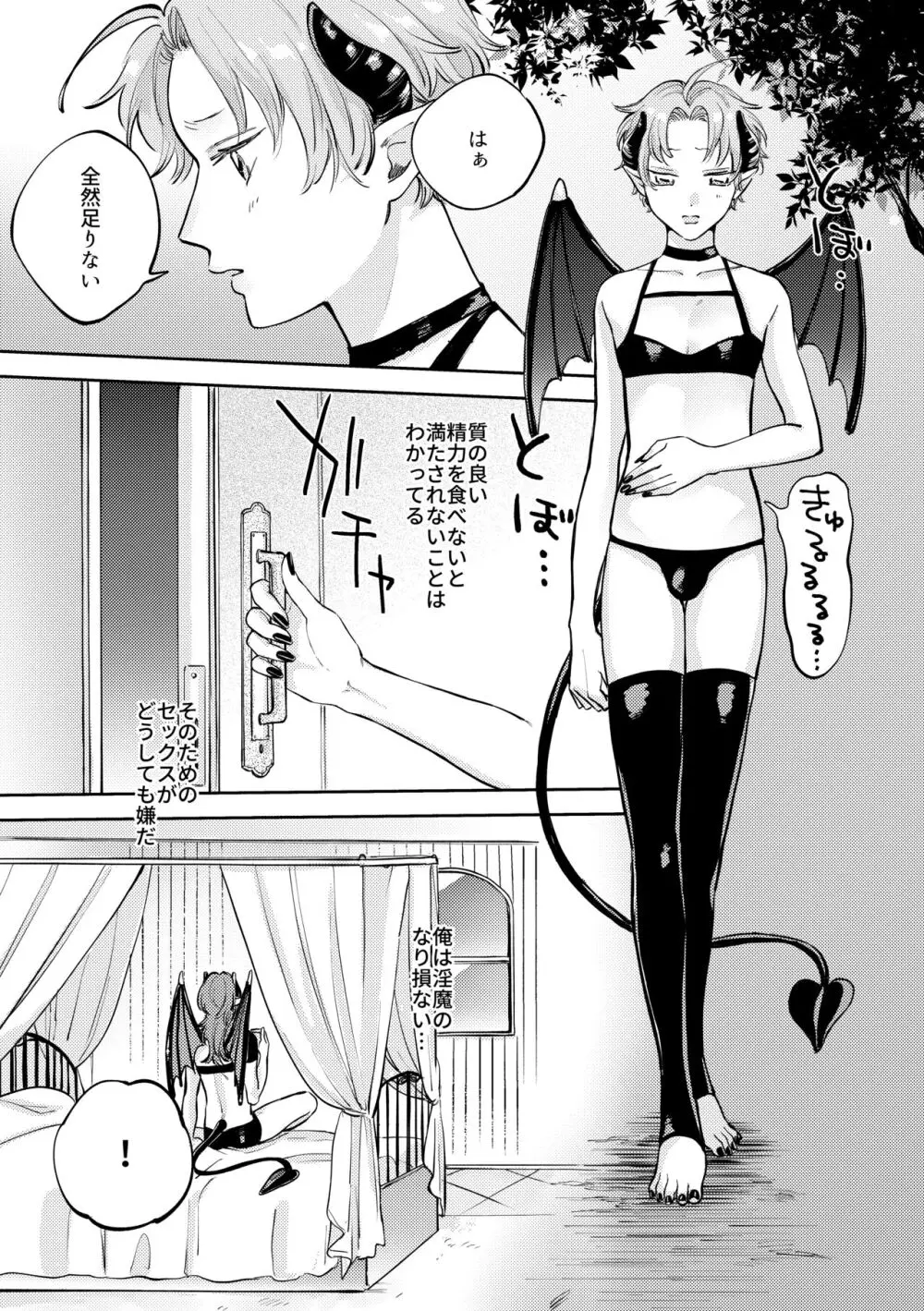 恋する淫魔とレクチャーセックス - page30