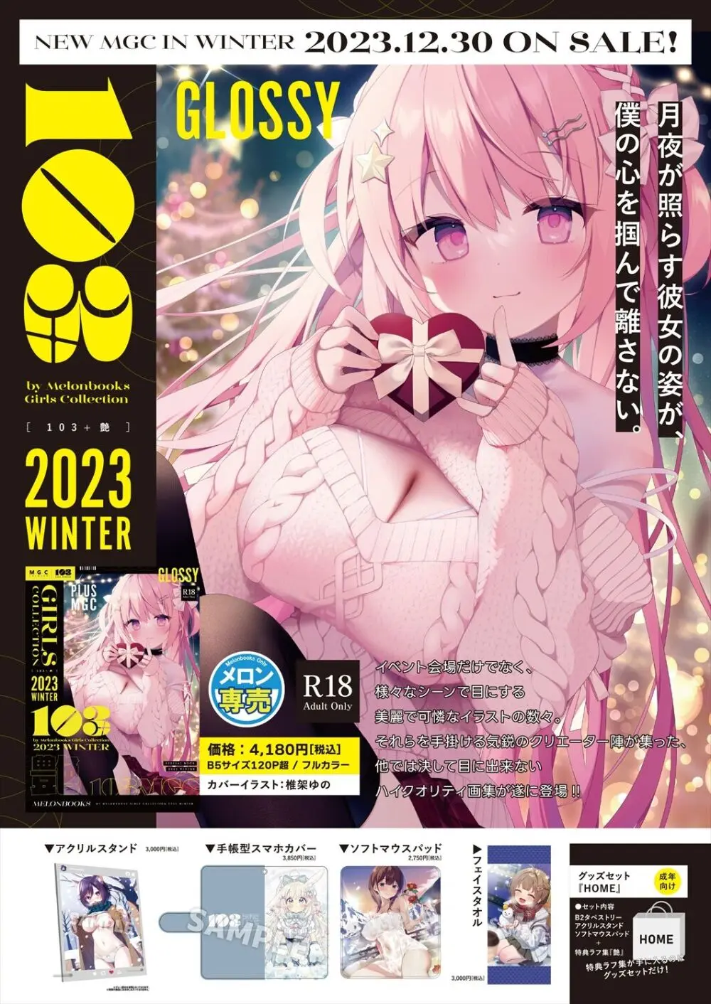 月刊うりぼうざっか店 2023年12月28日発行号 - page3