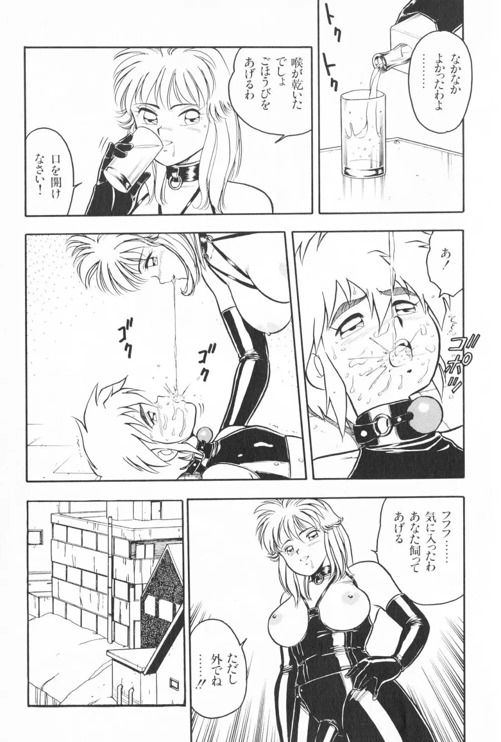 デザート・ミストレス - page15