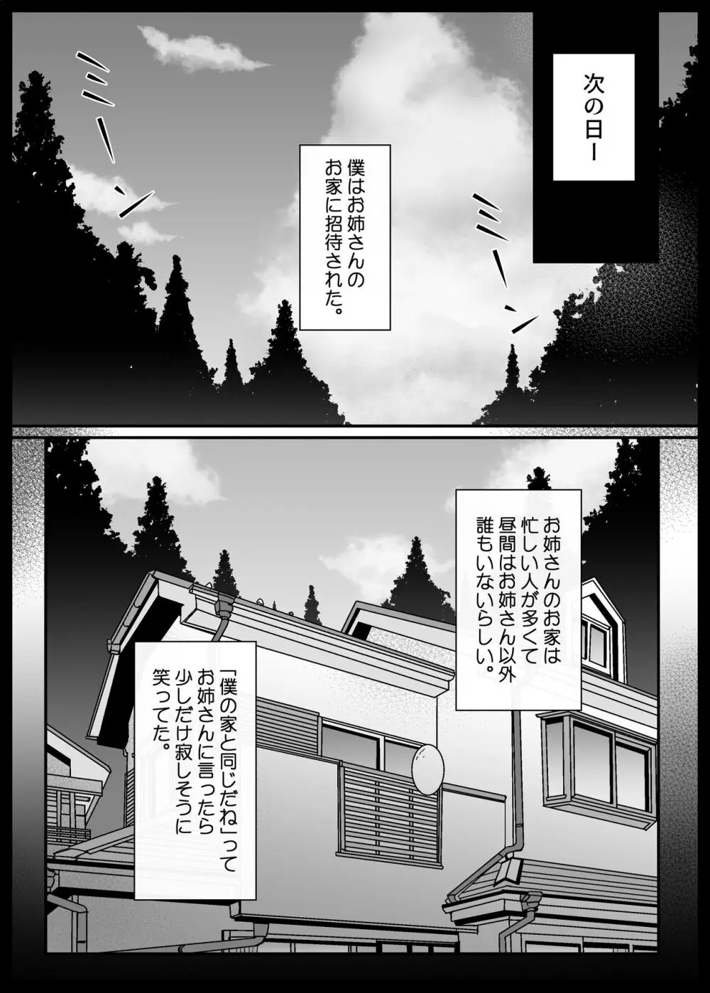 ぼくと田舎とお姉さん - page29