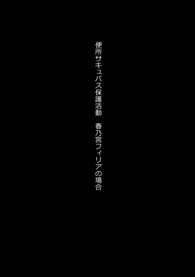 無責任に子種汁をどぷどぷ流し込まれる便所サキュバスに認定された少女達 - page19