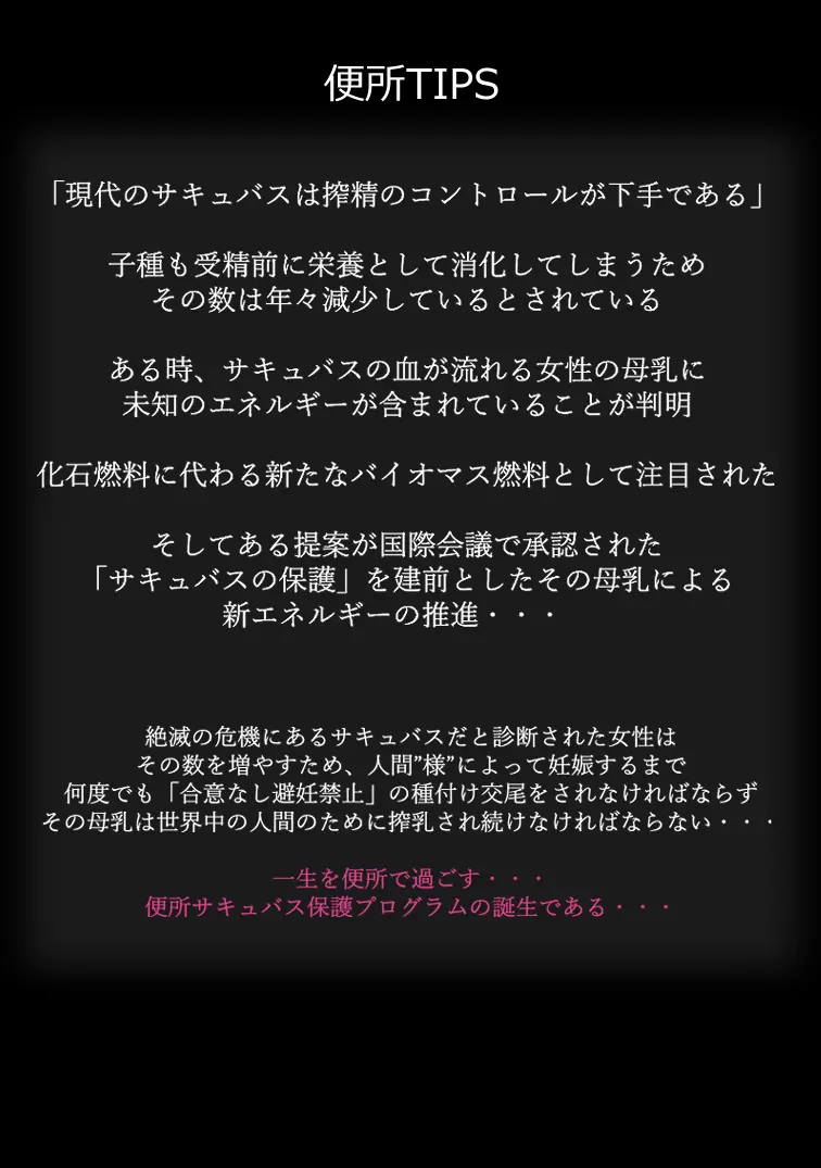 無責任に子種汁をどぷどぷ流し込まれる便所サキュバスに認定された少女達 - page2