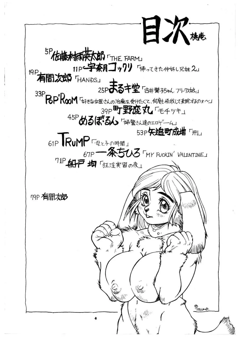 桃庵 vol.3 - page4