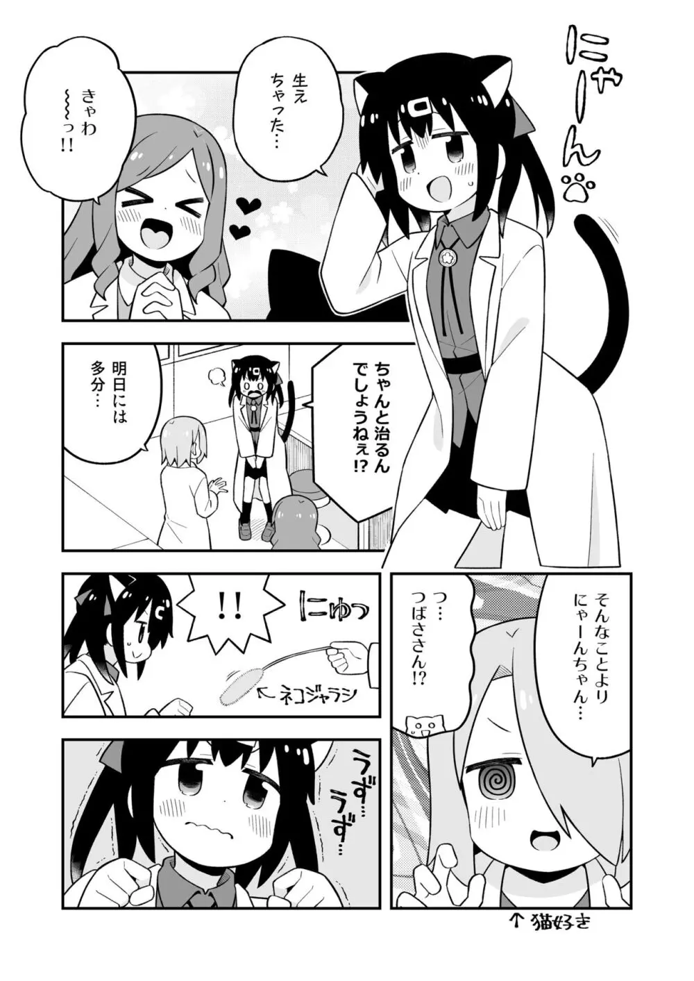 お兄ちゃんはおしまい! 副読本 みはりの研究室 - page19