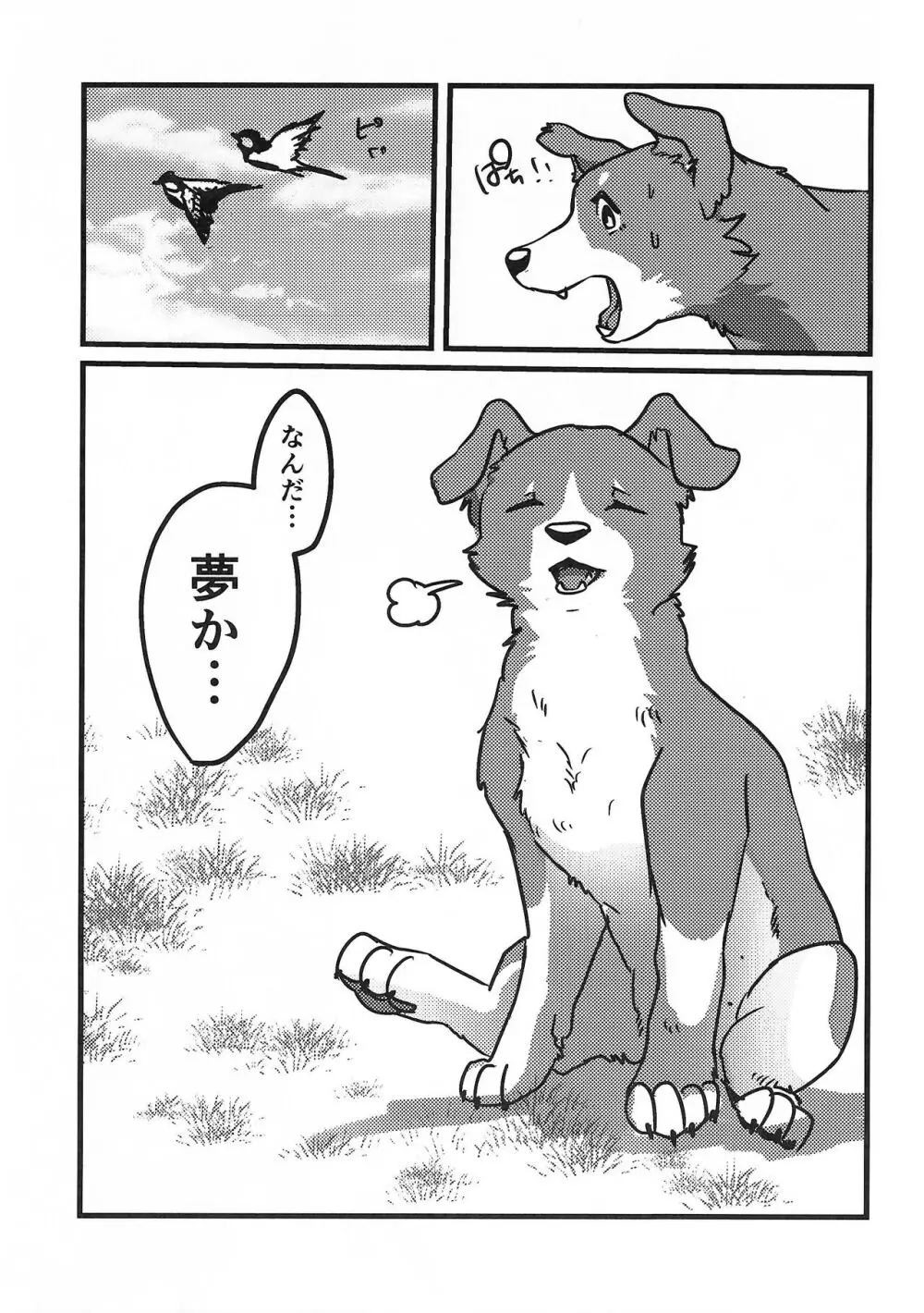 DOG.IN.CAGE コーンじゅういちばい - page10