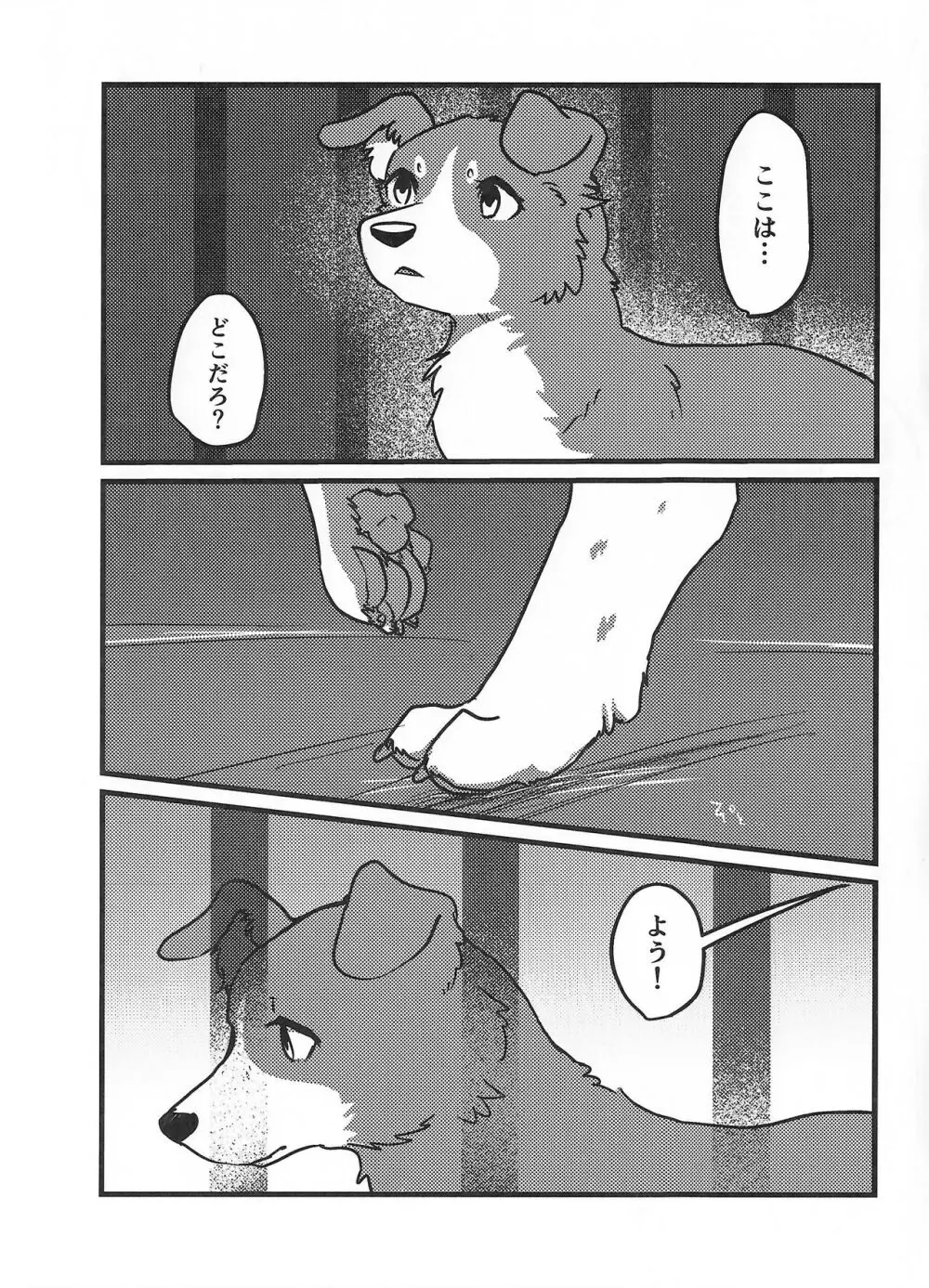 DOG.IN.CAGE コーンじゅういちばい - page2