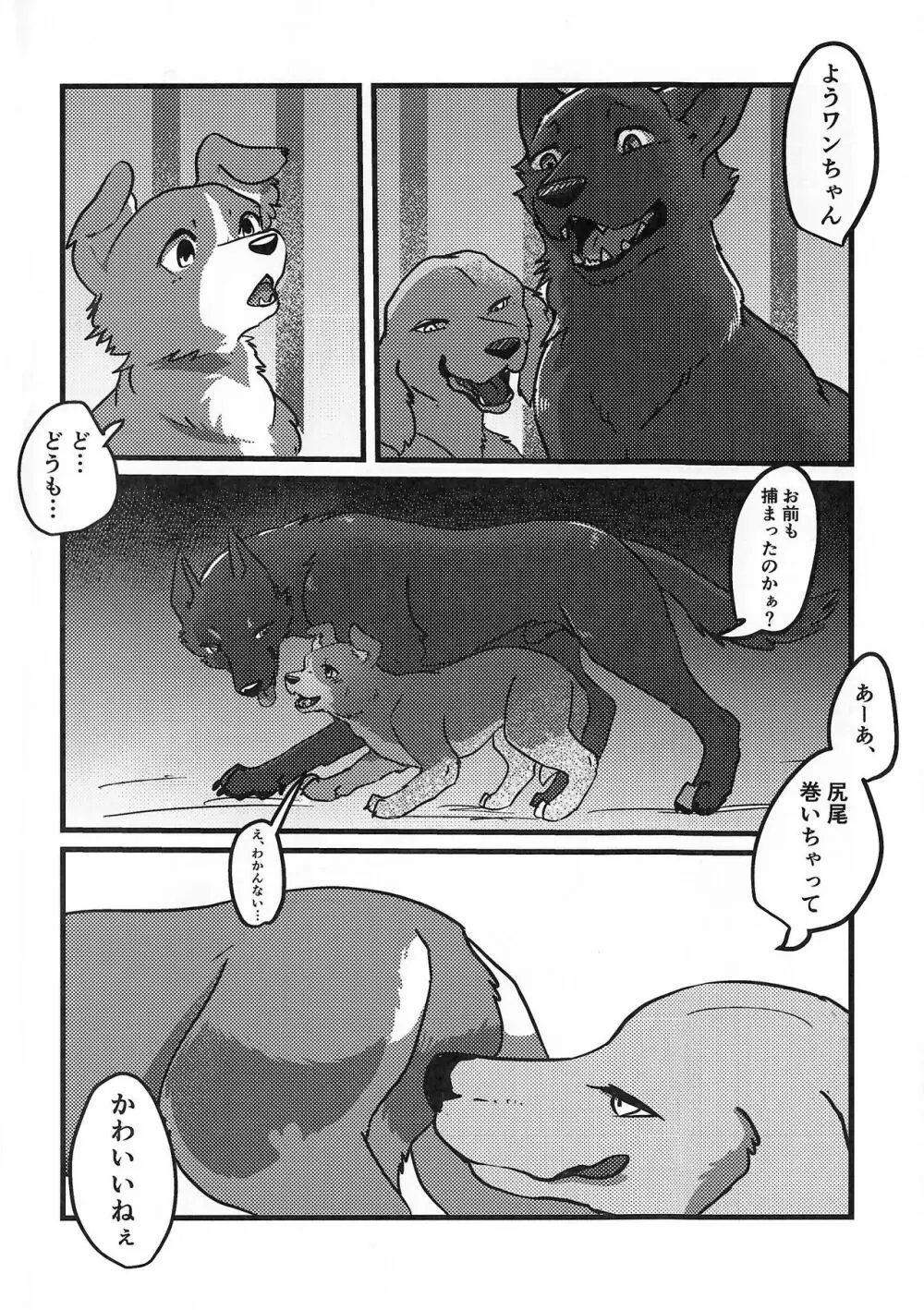 DOG.IN.CAGE コーンじゅういちばい - page3