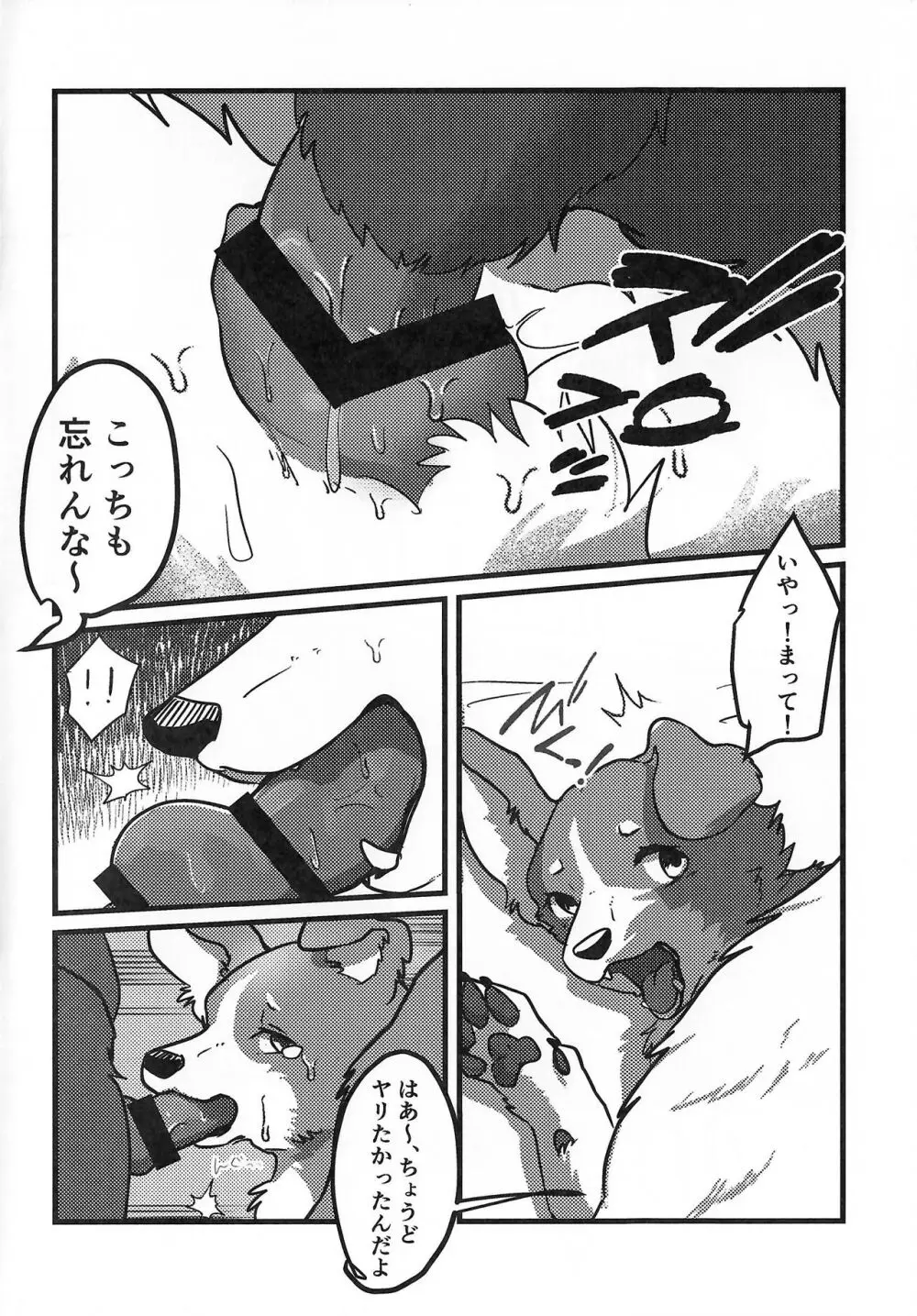 DOG.IN.CAGE コーンじゅういちばい - page5