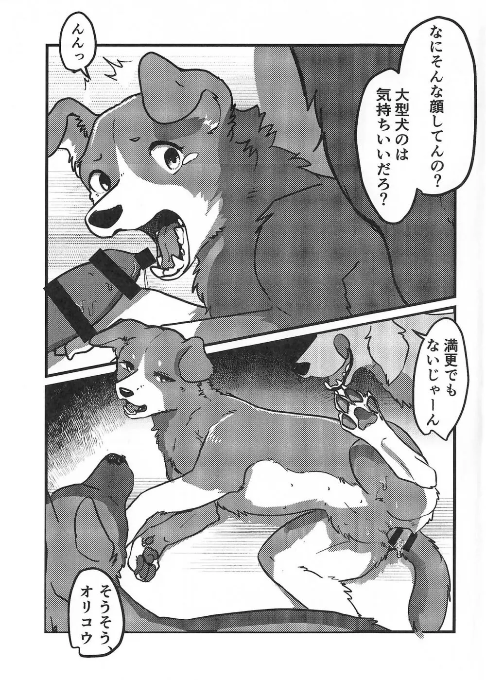 DOG.IN.CAGE コーンじゅういちばい - page6