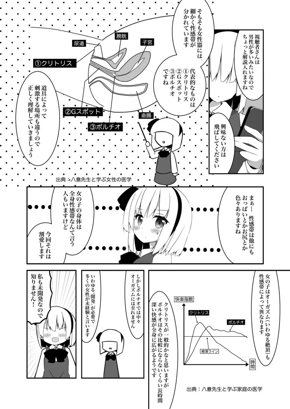 妖夢ちゃんがアダルトグッズのレビューをする話 - page6