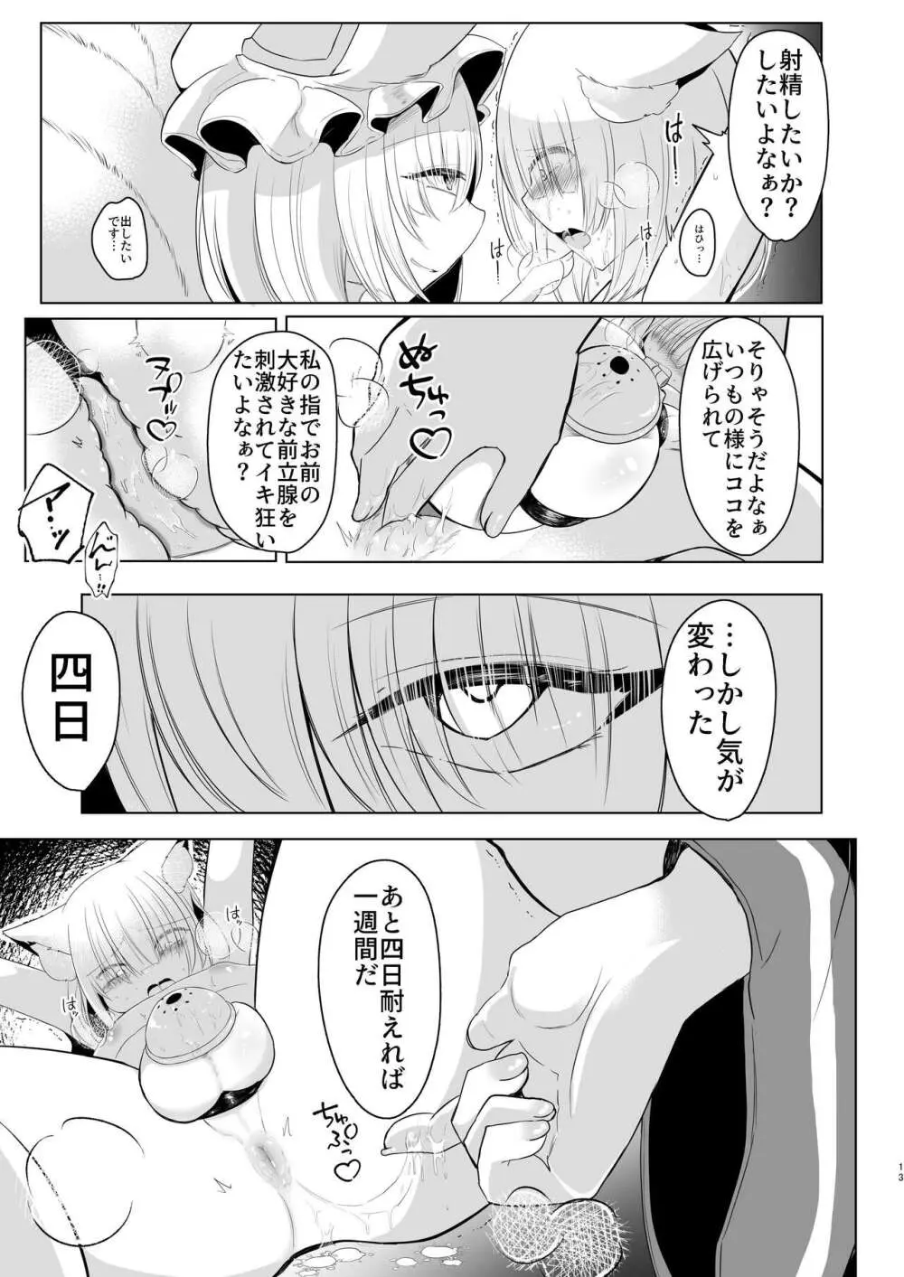 八雲藍による性奴○射精管理調教 子狐編 - page12