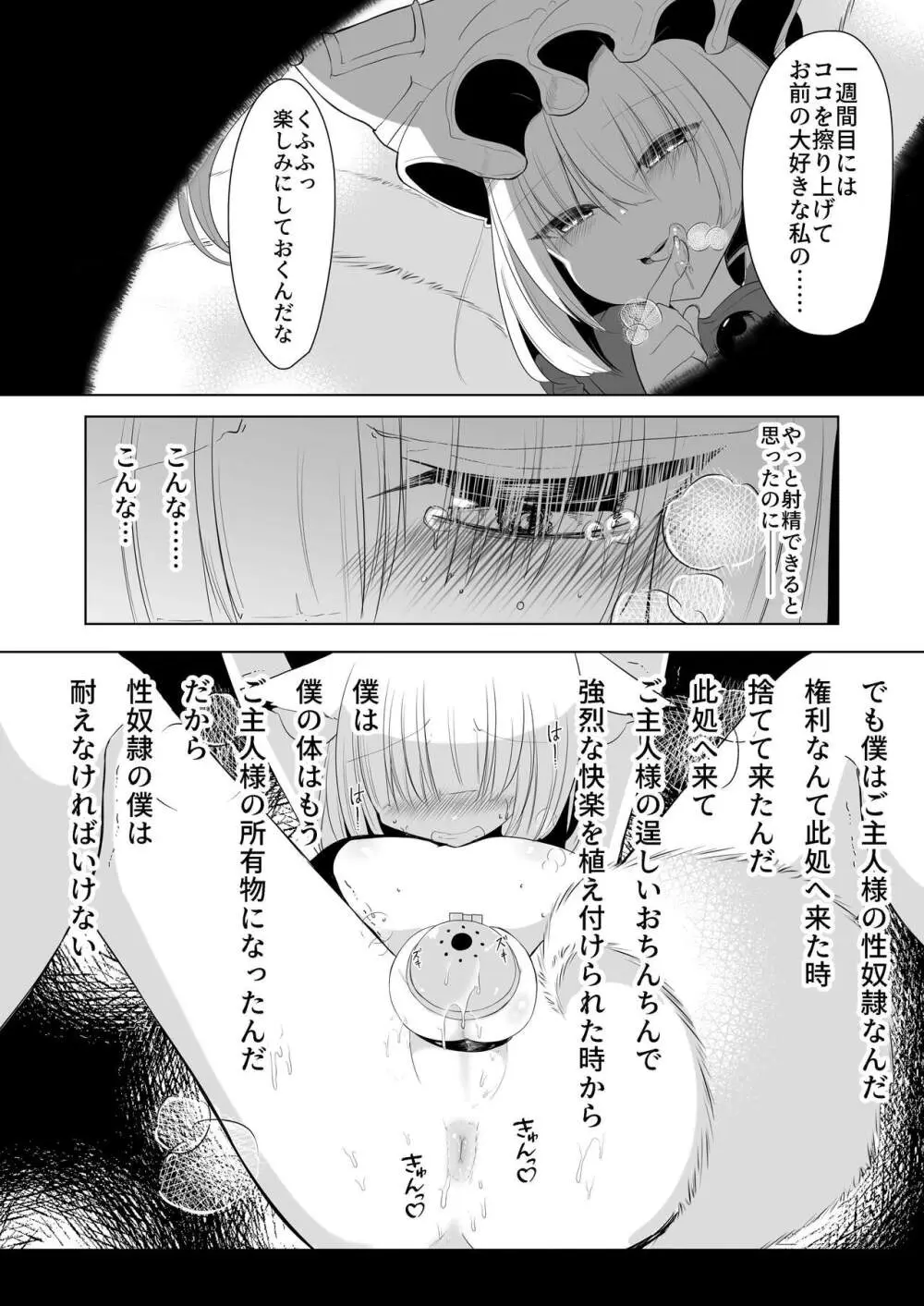 八雲藍による性奴○射精管理調教 子狐編 - page13