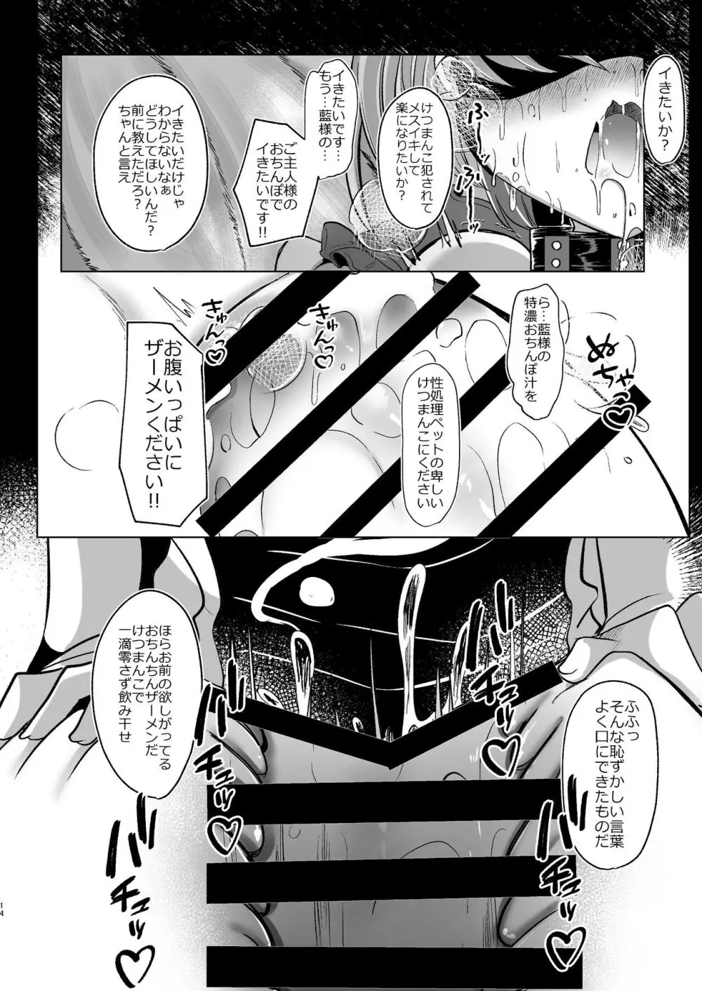 八雲藍が性処理ペットと戯れる本 - page14