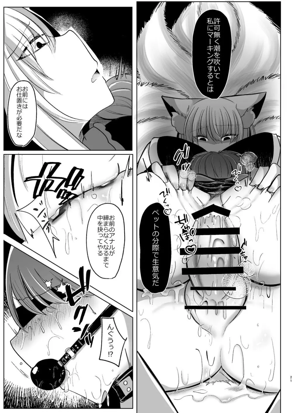 八雲藍が性処理ペットと戯れる本 - page21