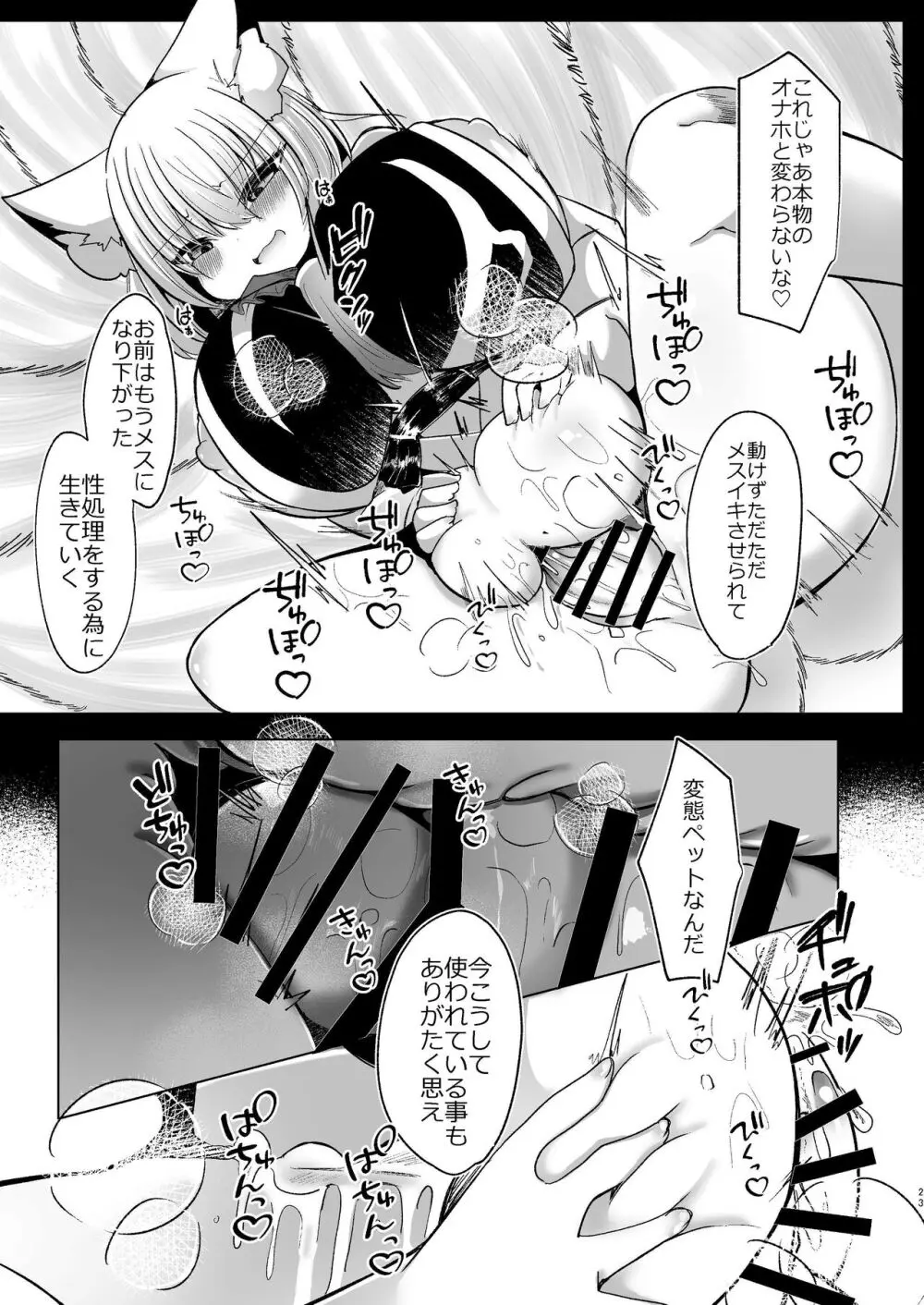 八雲藍が性処理ペットと戯れる本 - page23