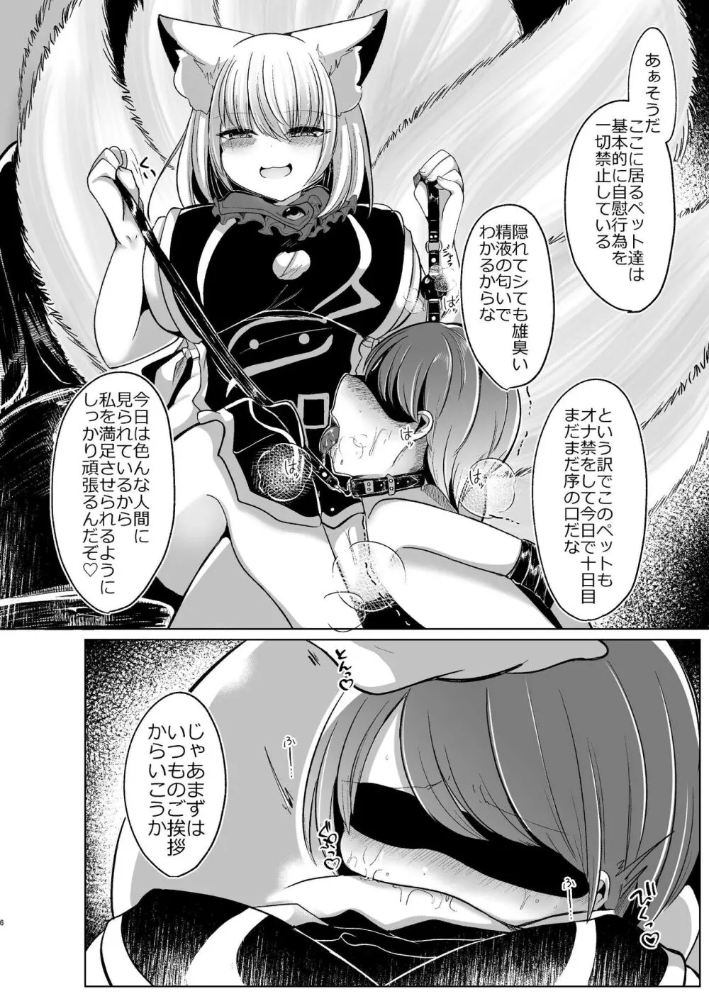 八雲藍が性処理ペットと戯れる本 - page6