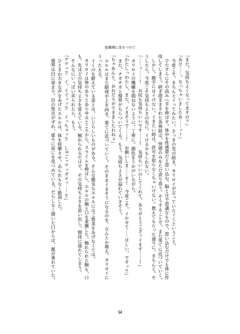 変身回数に限りがある世界の魔法少女が悪の手を取り堕ちた先。 - page54