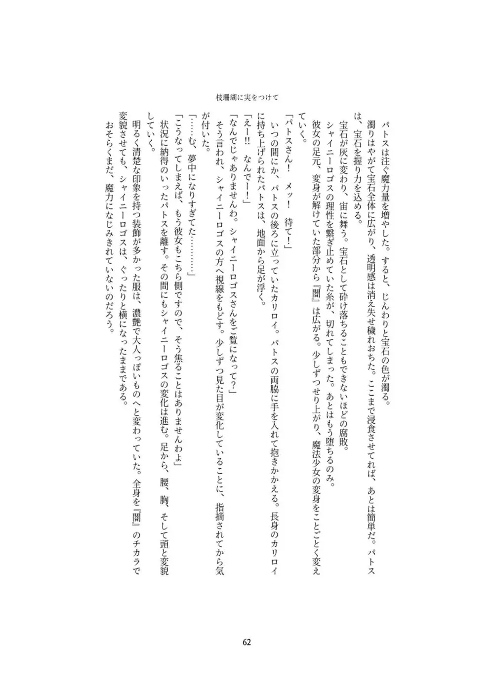 変身回数に限りがある世界の魔法少女が悪の手を取り堕ちた先。 - page62