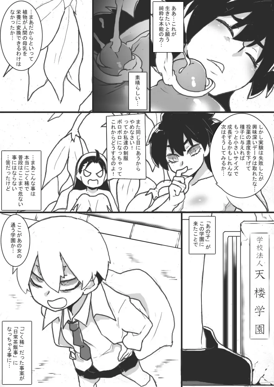 お嬢様は怪しい実験がお好き - page27