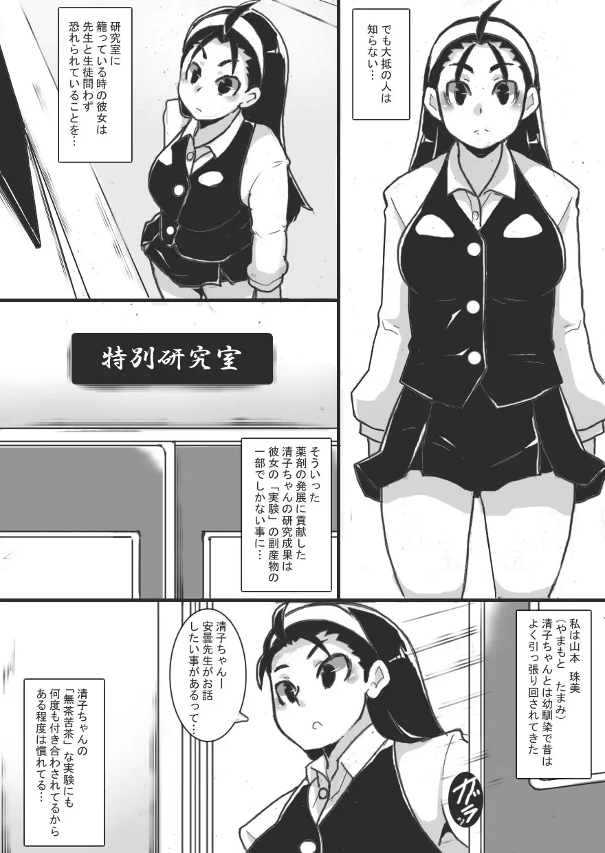 お嬢様は怪しい実験がお好き - page5