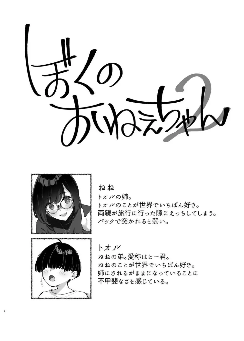 ぼくのおねぇちゃん2 - page3