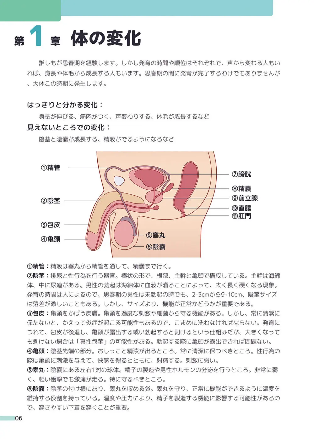 楽しく学ぶ男の子の保健体育 - page6